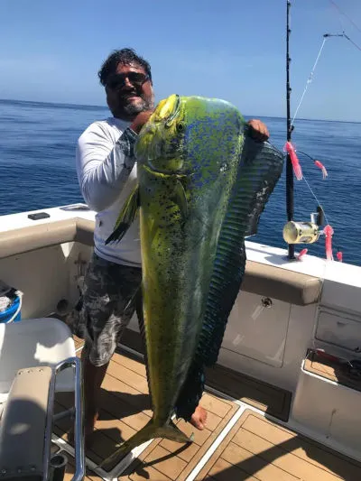 Pesca deportiva los cabos